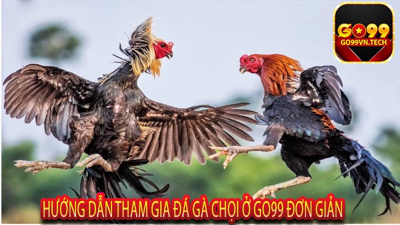 Hướng dẫn tham gia đá gà chọi ở Go99 đơn giản